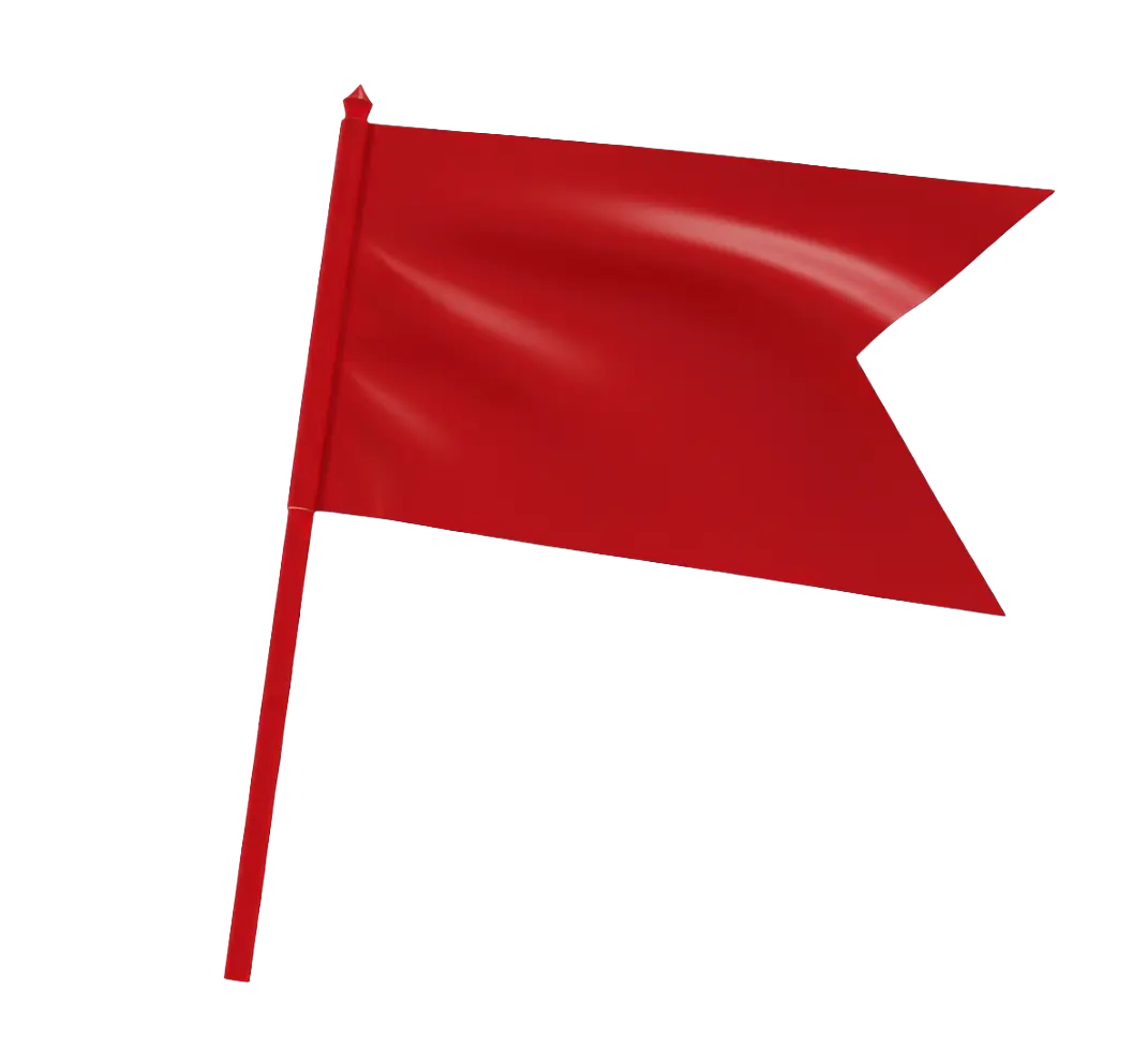 Flag Icon